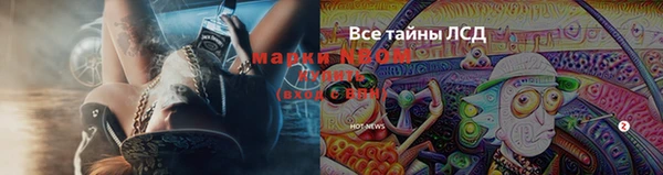 каннабис Абаза