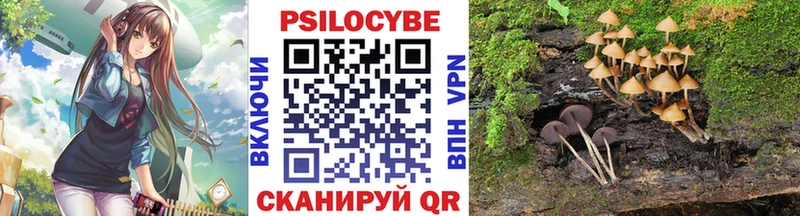 наркошоп  omg tor  Псилоцибиновые грибы MAGIC MUSHROOMS  Ирбит 