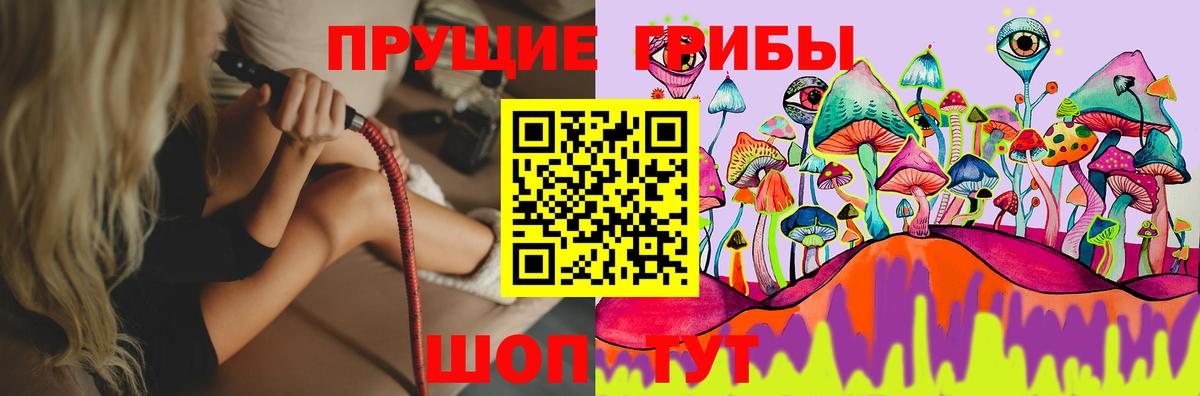 Ирбит  Галлюциногенные грибы Cubensis  Вход с VPN 